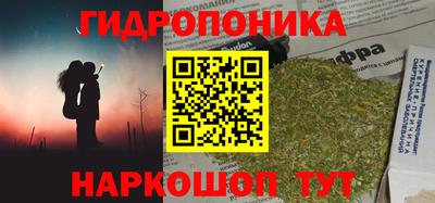 бошки Кимры