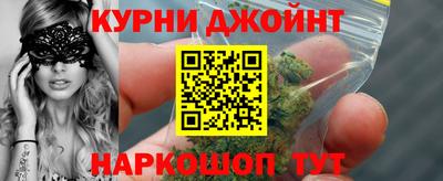 мдпв Кингисепп