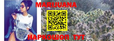 мдпв Кингисепп