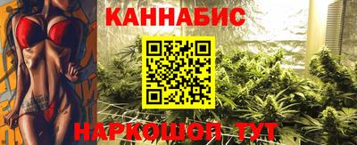 мдпв Кингисепп