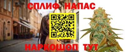 мдпв Кингисепп