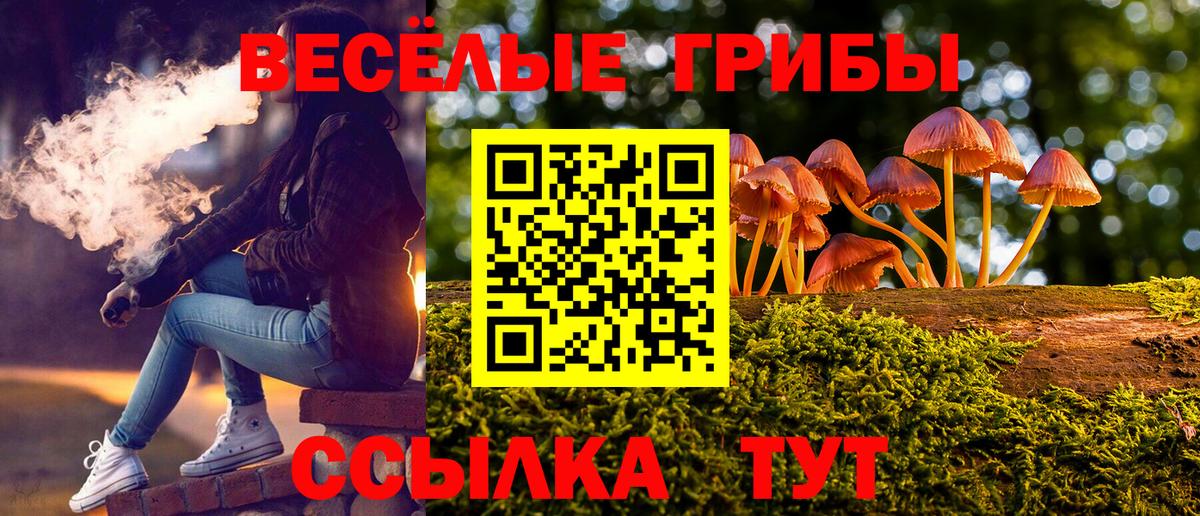 Галлюциногенные грибы Cubensis Кохма